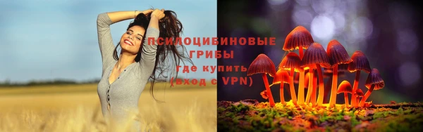ешки Алексин