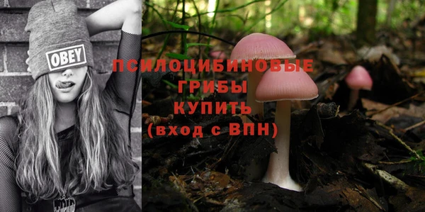 ешки Алексин