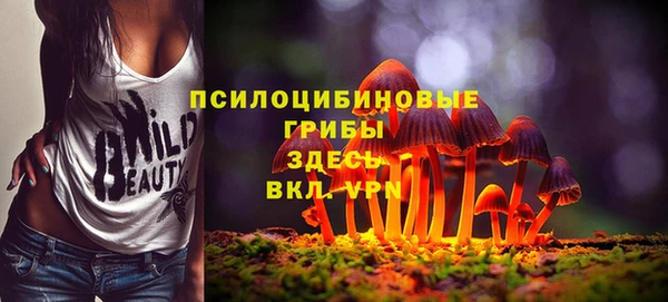 2c-b Алексеевка