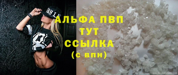 ешки Алексин