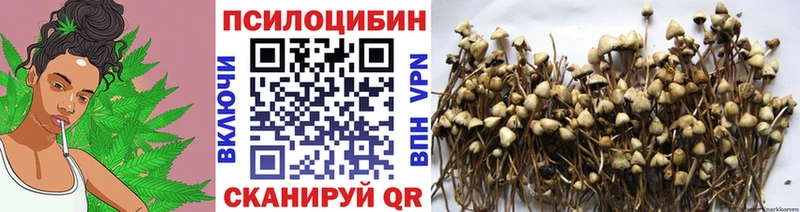 МЕГА вход  Новопавловск  Псилоцибиновые грибы мухоморы 